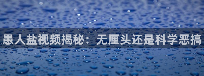 威九国际top