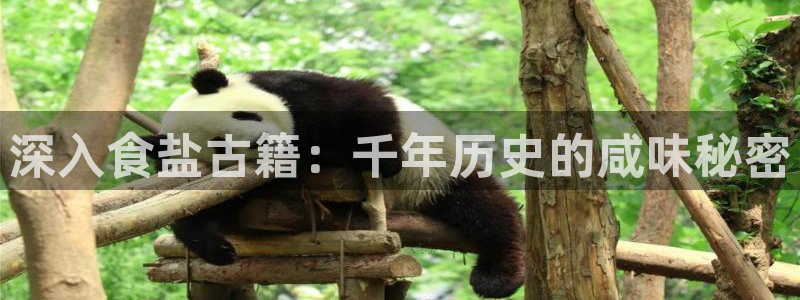 威九国际ppt免费下载网址