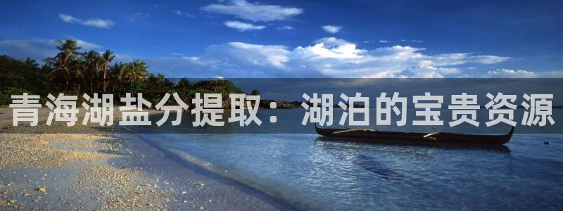 威九国际w98
