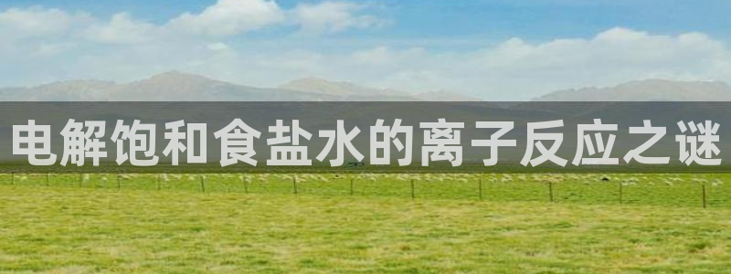 威九国际网站传媒招聘