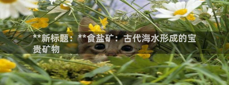 威九国际清砖码头在哪
