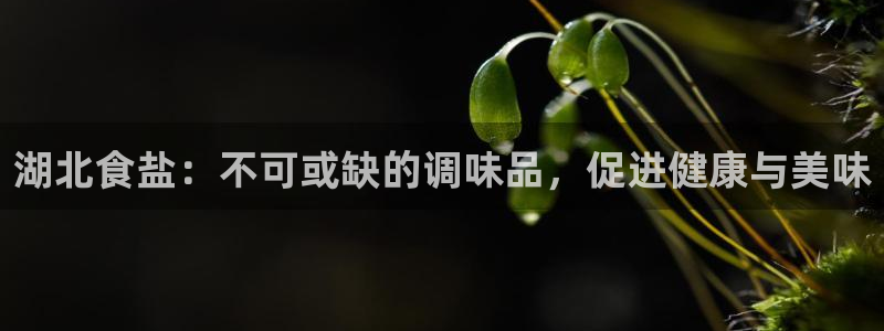 威九国际网站入口地址
