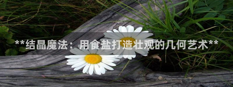 威九国际66
