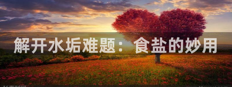 威九国际观看