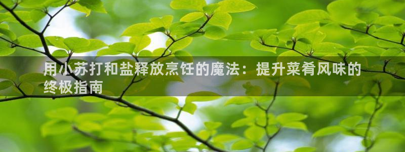 威九国际网站经常打不开网页
