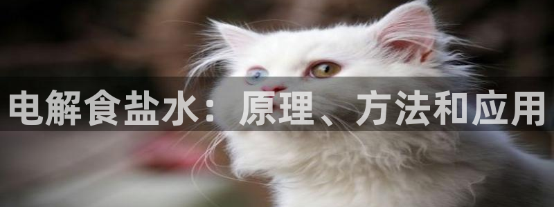 威九国际精彩推荐怎么样
