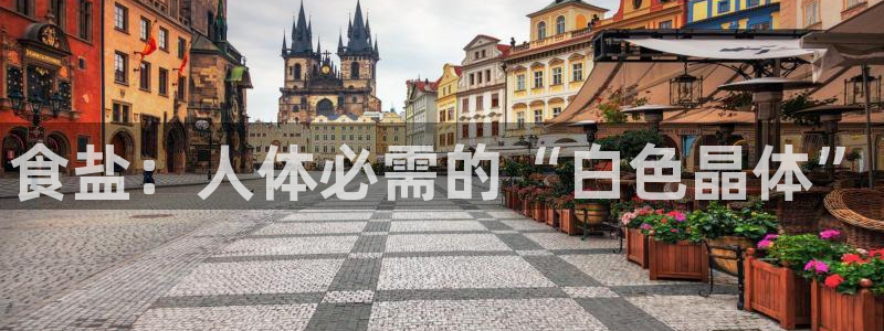 威九国际78m域名