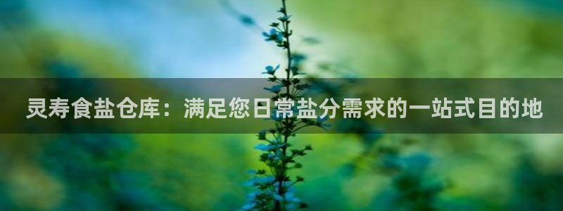 保定威九网络科技有限公司电话