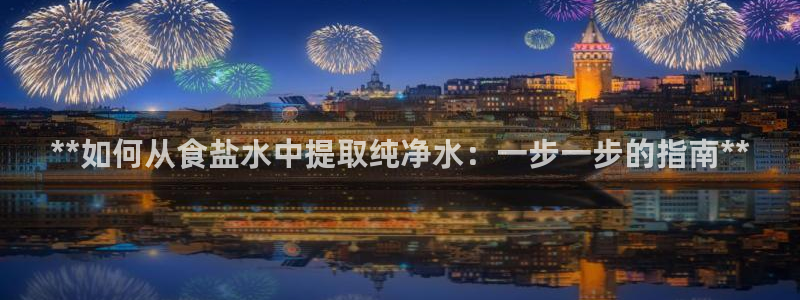 威九国际惠子