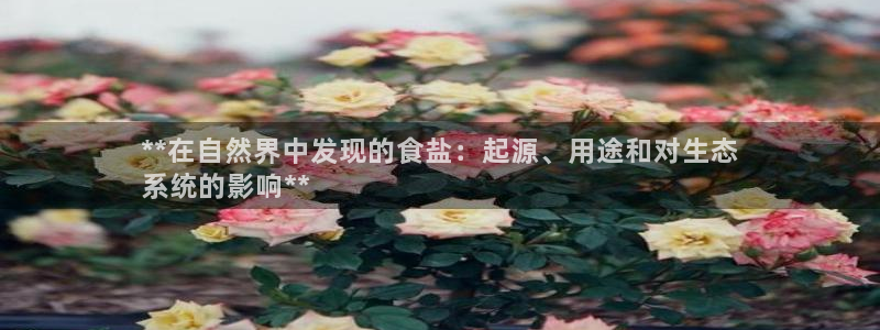 威九国际78mb特点