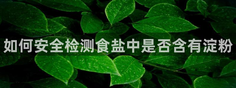 威九国际软件公司简介