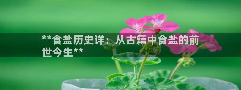 威九国际78mb特点