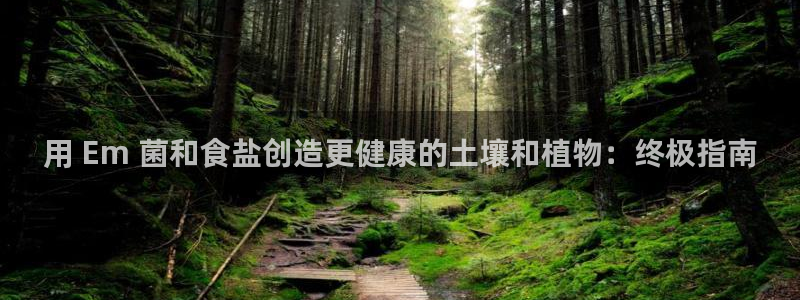 威九国际66m官网版
