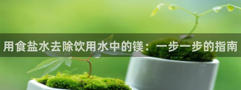威九国际ppt免费下载