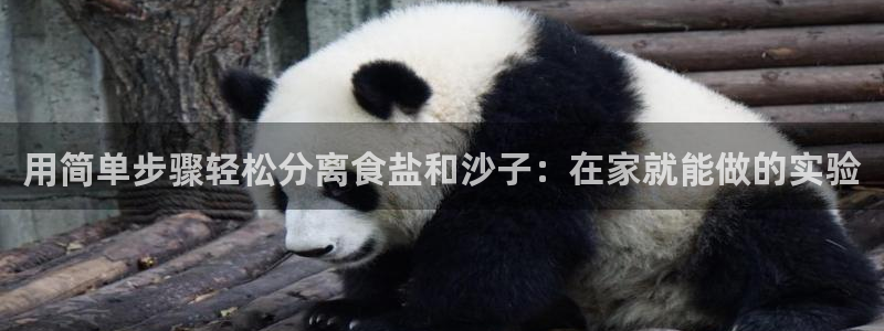 威九国际66m官网版