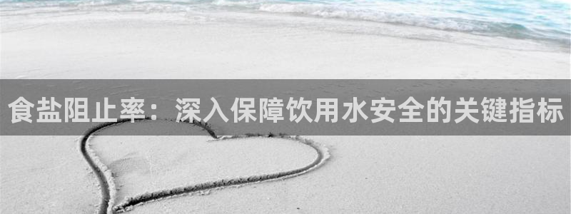 保定威九网络科技有限公司