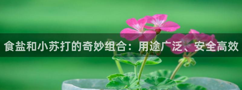 威九国际女主名字