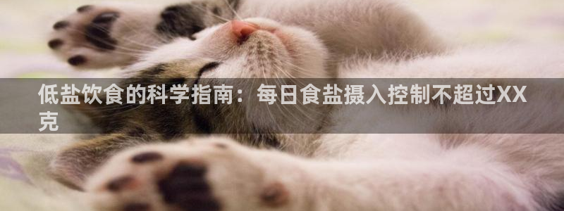 威九国际网站经常打不开