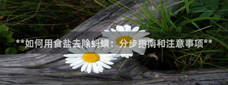 威九国际78mb42