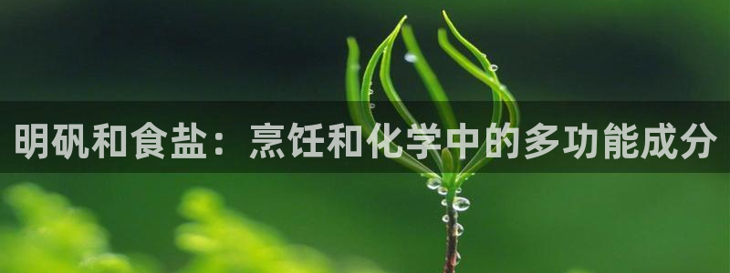 威九国际最近的视频