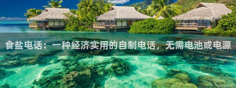 威九国际网站入口官网首页