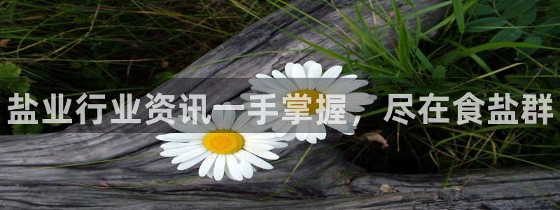威九国际旗下艺人有谁