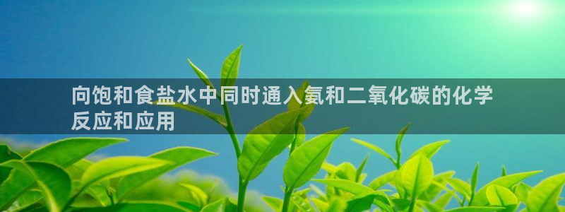 威九国际ppt免费吗