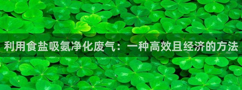 78mapp威九国际网
