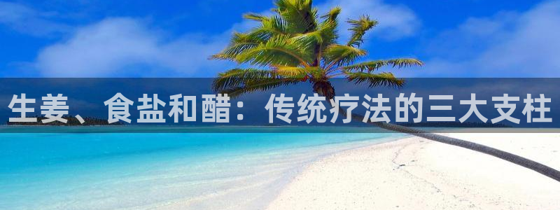 威九国际FT