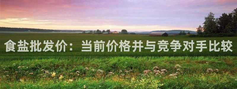 威九国际网站经常打不开