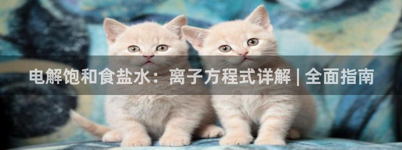 威九国际v96bet下载