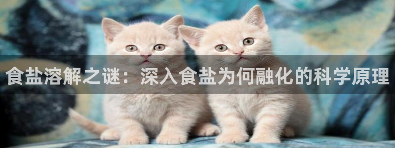 威九国际留学