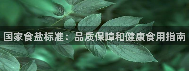 威九国际清砖码