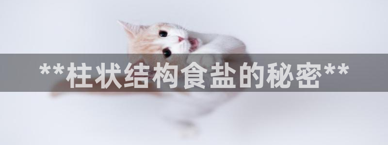 威九国际女神