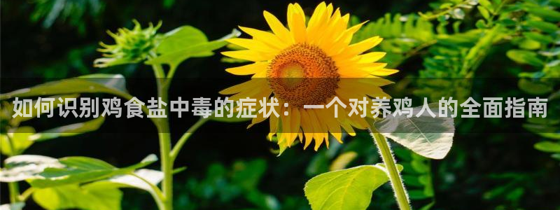 威九国际电视怎么样