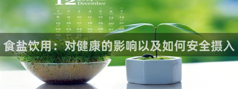威九国际留学
