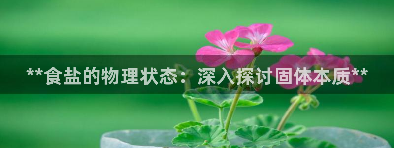 78mapp威九国际成全视频