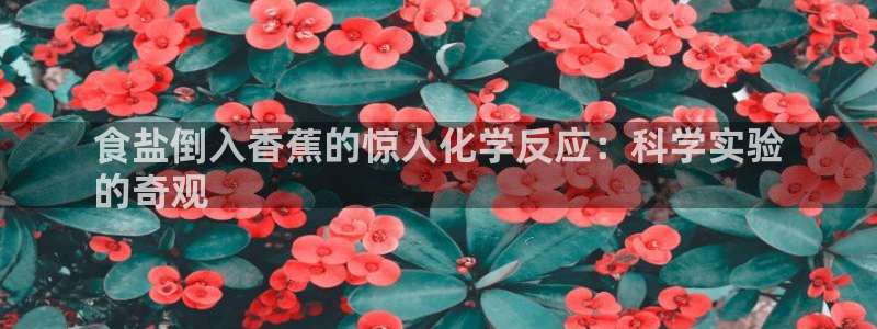 威九国际网站怎么样