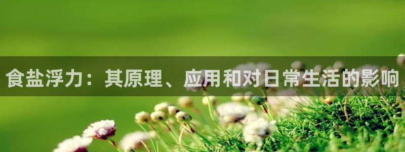 威九国际v96BET