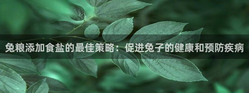 威九国际78mob游戏说明