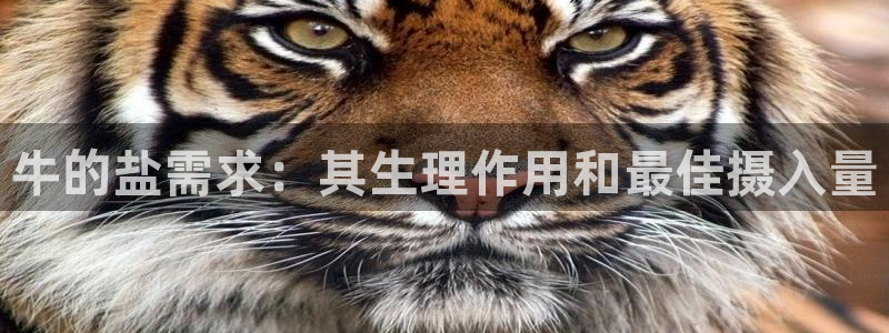 威九国际取款多到账