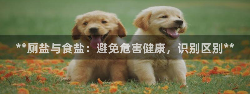 78.m威九国际官网版