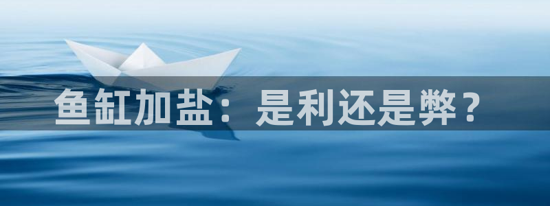 威九国际网站是多少