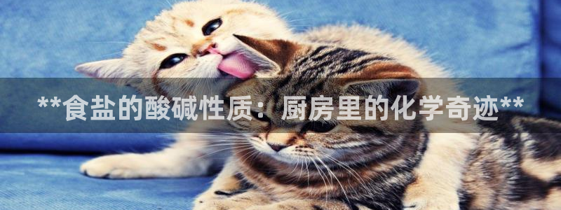 威九国际女艺人