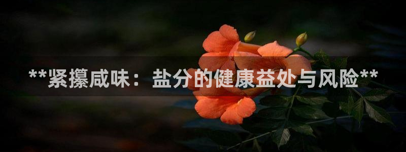 威九国际清砖码头怎么样