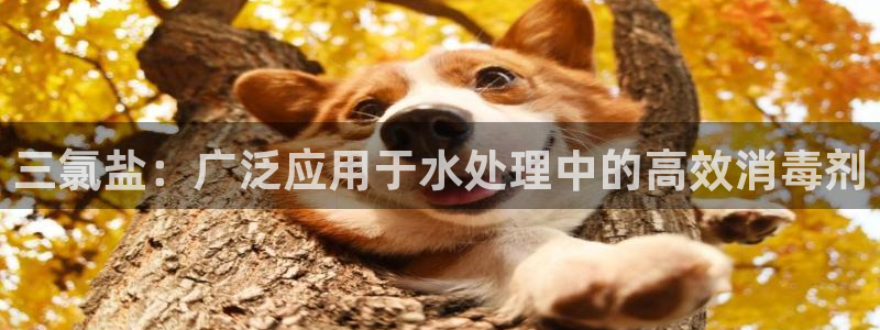 威九国际78mb42斗罗大陆