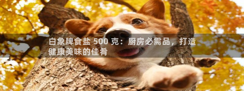 威九国际网站入口官网首页