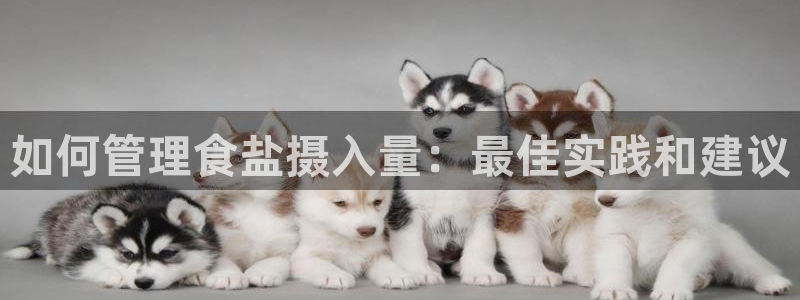 威九国际精免费下载
