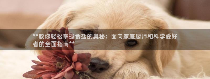 威九国际app大全下载安装