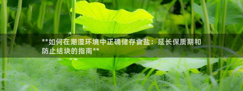 威九国际狂飚电影